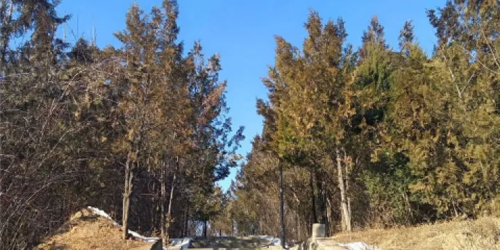 延安國家森林公園鳳凰山景區