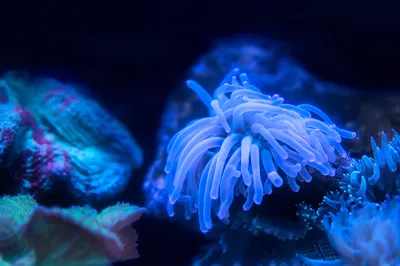 青岛水族馆