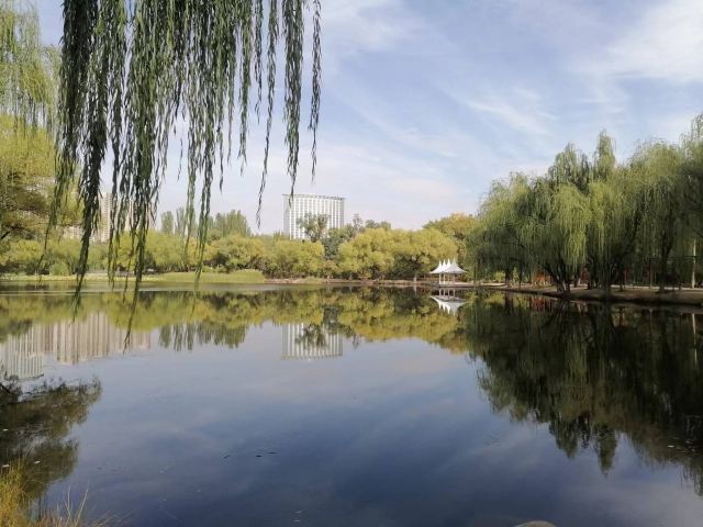 青城公园旅行图片 1