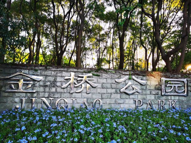 金桥公园旅行图片 4