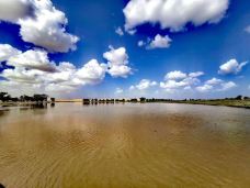 塔里木沙漠公路-且末-无极