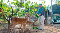 阿信巧克力农场-屏东