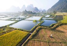 会仙湿地景点图片