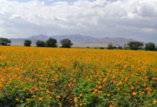 伟人山景点图片