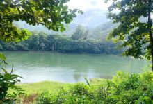 Ko Wua Talap Island景点图片