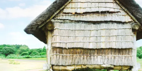 特別史蹟 三內丸山遺址