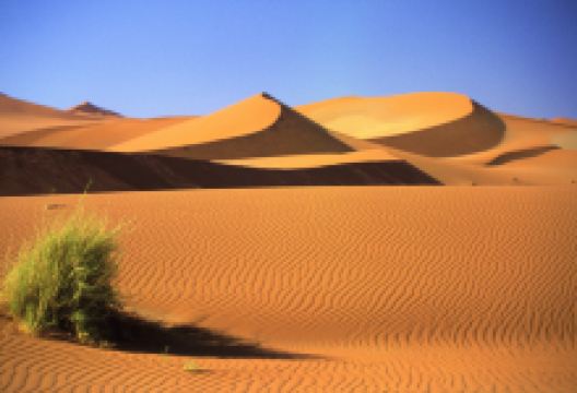 纳米布沙漠景点图片