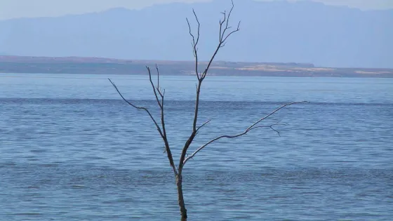 索爾頓湖