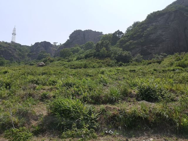 玫瑰谷旅行图片 3