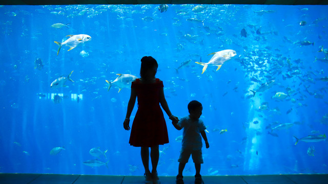 爸爸妈妈带你去看大海，邂逅三亚阳光，沙滩与椰林