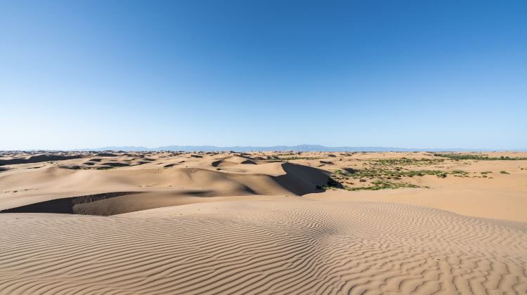 2D1N · Group Tours · Inner Mongolia, China + Hohhot + Ulan Hada Volcano Geopark + Huitengxile Grassland + Hassuhai + Kubuqi Desert 