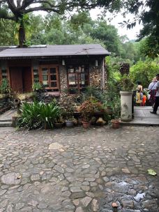 岭南小九寨-台山-池塘春草