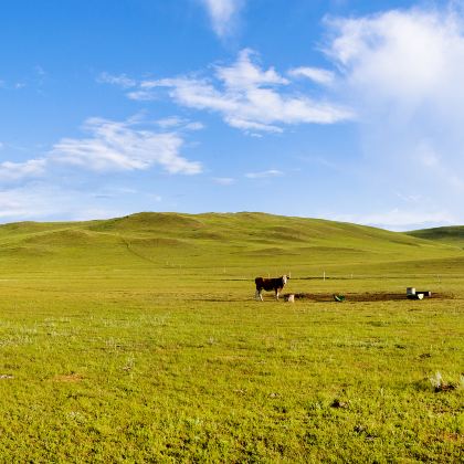 锡林郭勒盟草原+乌拉盖草原+锡林九曲弯旅游区5日4晚私家团