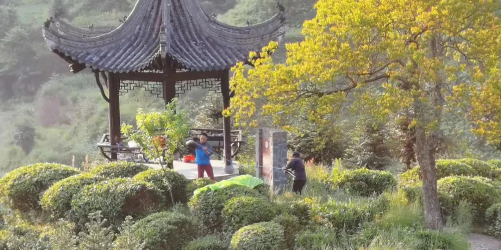 永安旅遊