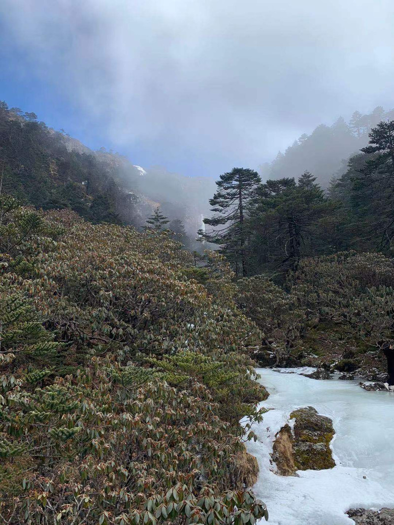 昆明旅游网