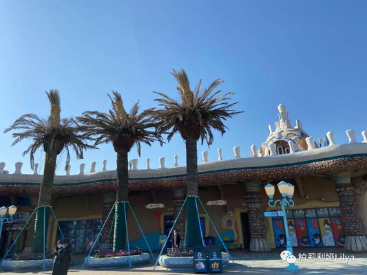 海天鲸焰-上海海昌海洋公园游记