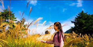 致敬所有女神！天岳幕阜山景区妇女节免门票