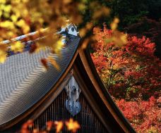 岚山-京都-hiluoling