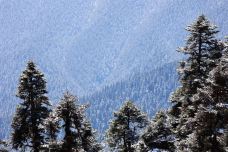 色季拉山-林芝-新-云