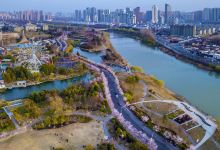 淮安市樱花园景点图片