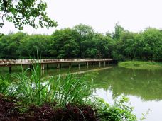 鼎湖峰-缙云-一生好游