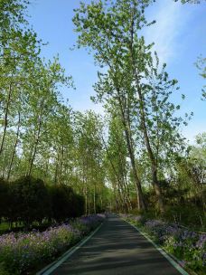 滨湖国家森林公园-合肥-山在穷游