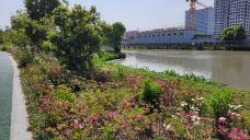 梅园公园-上海-gytbc