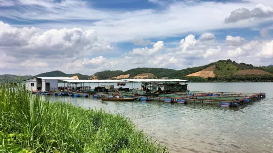禤洲島旅遊景區