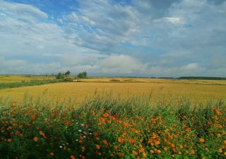 兴凯湖与煤城鸡西（今夏东北避暑游12）