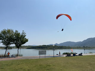 冬至丨金陵秋色浓,满城黄金甲。南京幸庄滑翔伞体验