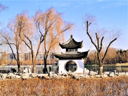 漫步陶然亭