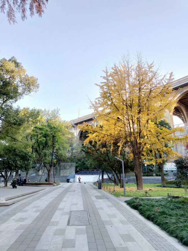 汉阳门花园旅行图片 15