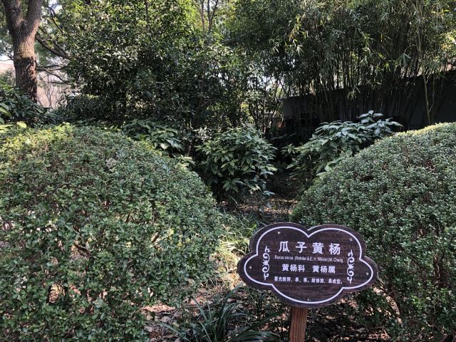 曲阳公园旅行图片 3