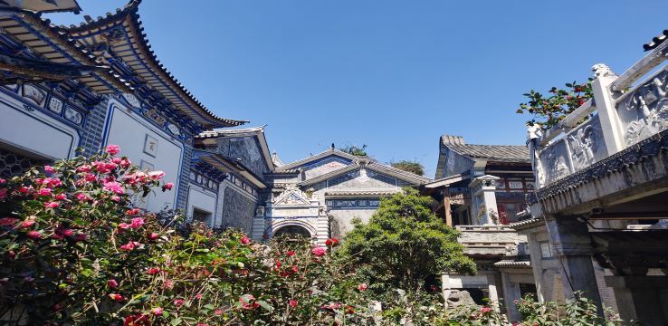 Gallery 1