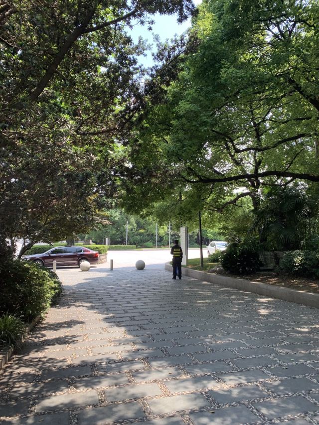 黄浦公园旅行图片 2