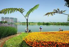 乐山市旅博天地旅游景区-东湖湿地公园景点图片