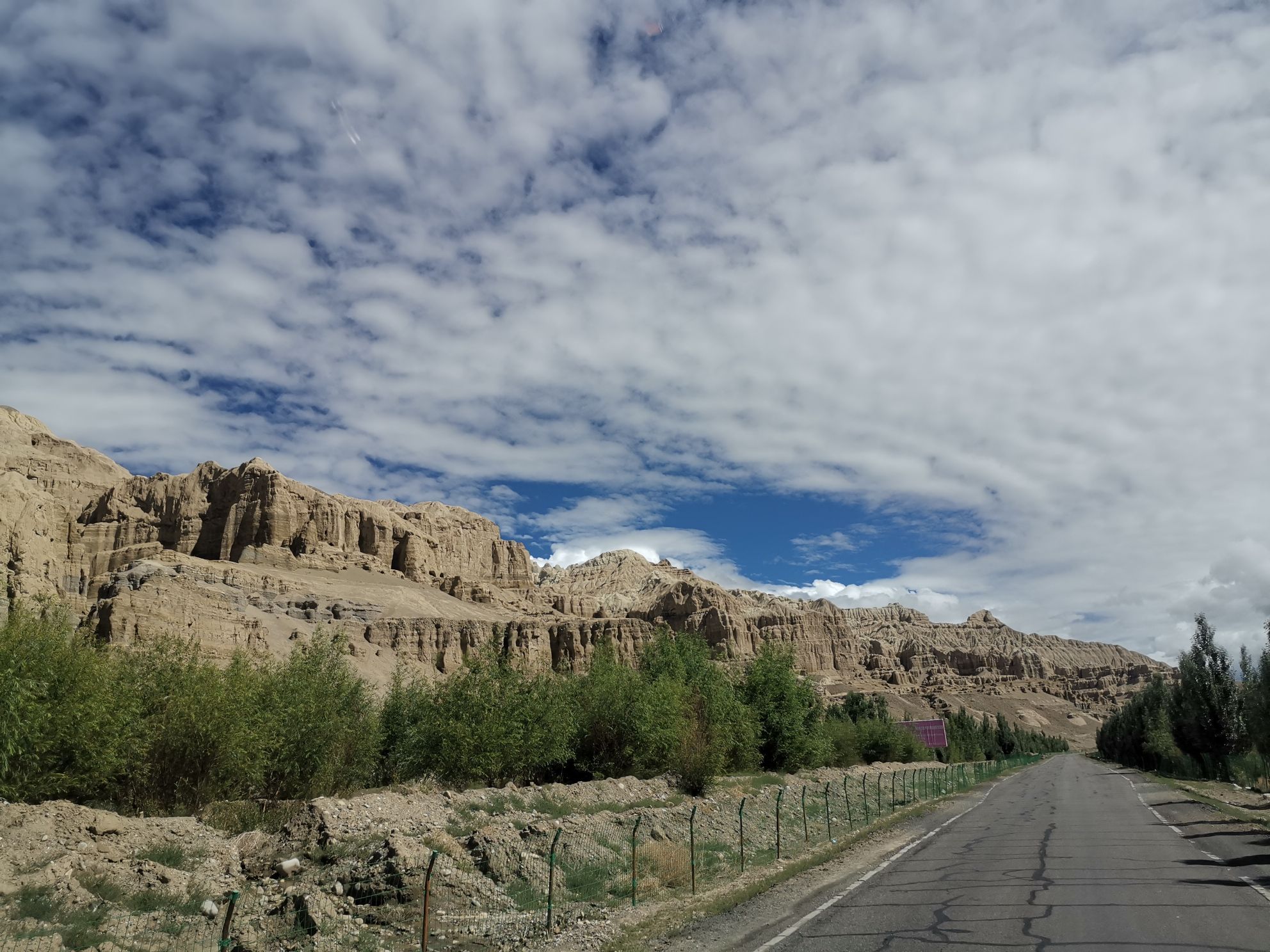 Tibet Ali Zanda soil forest