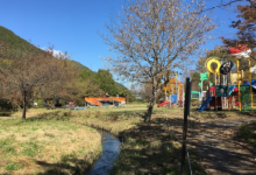 萤火虫童话公园景点图片