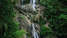 海南百花岭热带雨林文化旅游区-琼中-C-IMAGE