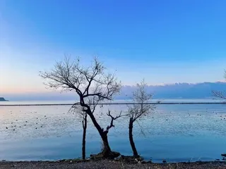 2023来昆明大理跨年吧！