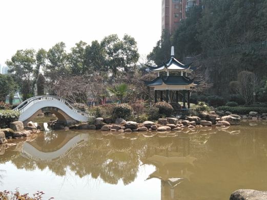 流芳公园