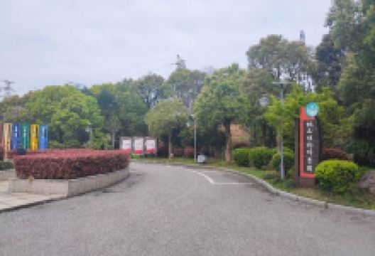 枫山植物园景点图片