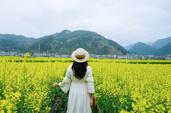 镇巴游记图片] 春入巴山，共赴一场陕南秘境，看最美油菜花田