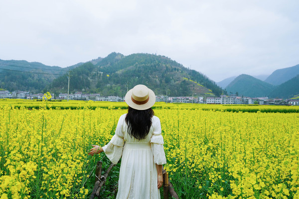 春入巴山，共赴一场陕南秘境，看最美油菜花田