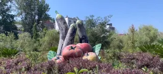 畢節3日遊:遊覽革命聖地,欣賞國家森林公園的自然美景