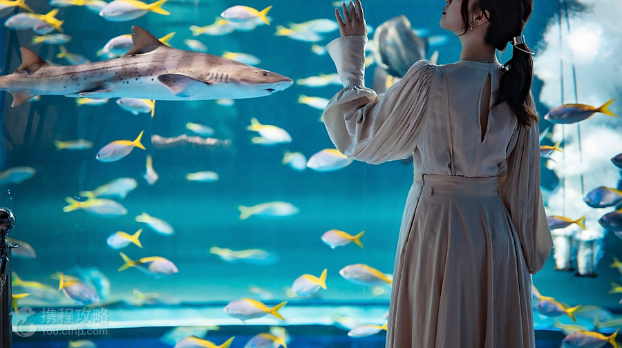 神戶都市型水族館AQUARIUM×ART átoa