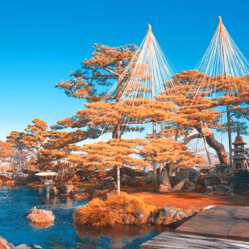 日本东京+富士山+京都+奈良+大阪6日5晚跟团游