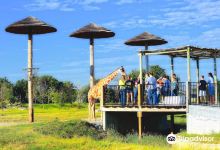 Tanganyika Wildlife Park景点图片