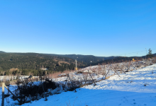Ski Center Bublava景点图片