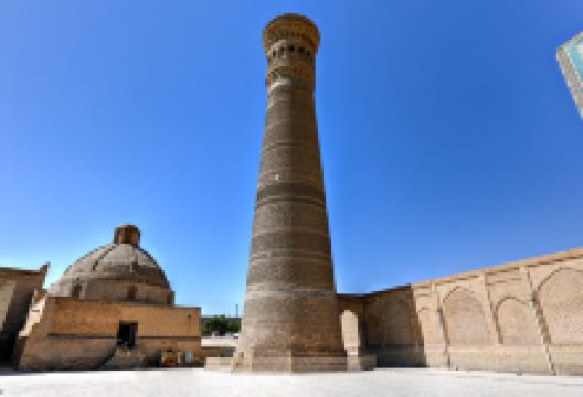 米纳瑞高塔景点图片